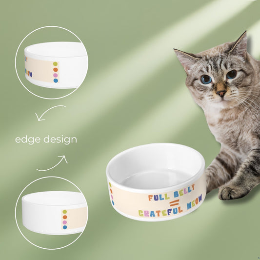 Food bowl for cats with mindful design that sparks gratitude close up