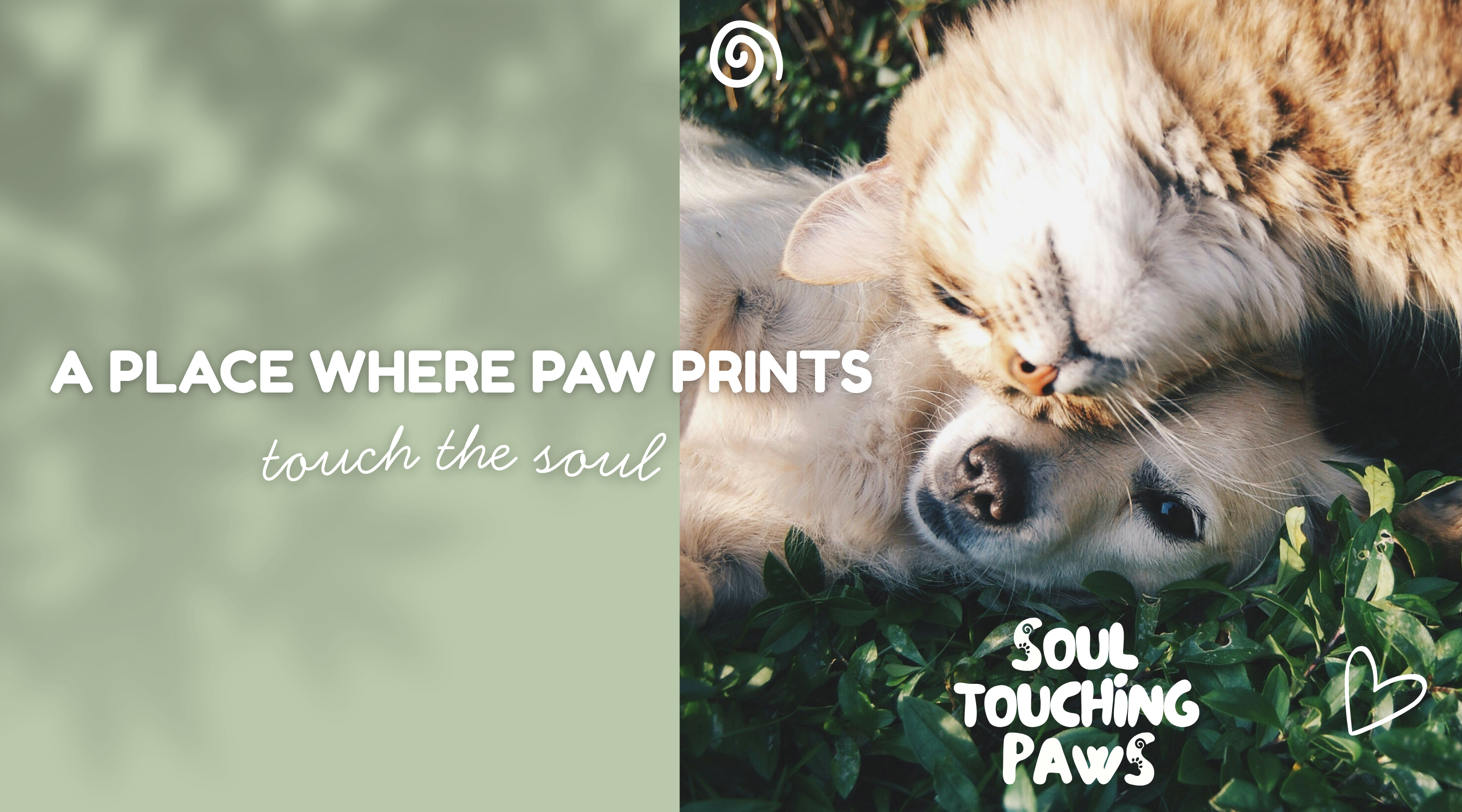 Main page mindful pets quote